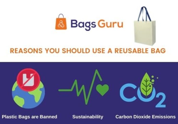 Reasons You Should Use a Reusable Bag